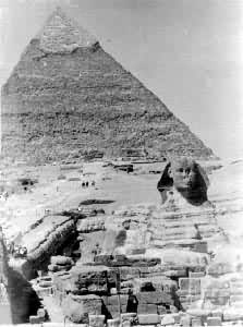 ����������������ʨ����