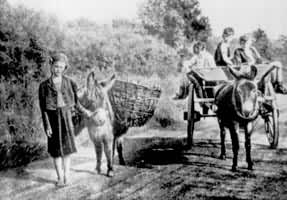 �������˶�ͯ