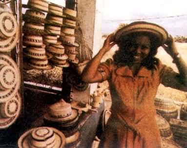 ��������İ������˲�ñ