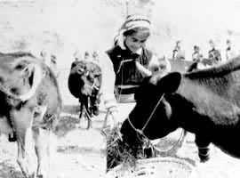 �������