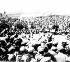 �������½����ջ