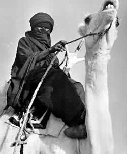 �ذض�����