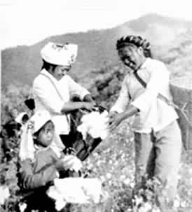 �����帾Ů