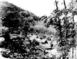 �������կ