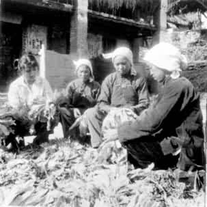 ������ũ�����ھ�Ӫ����