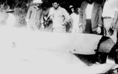 �����簲����ɽ���Ĵ���