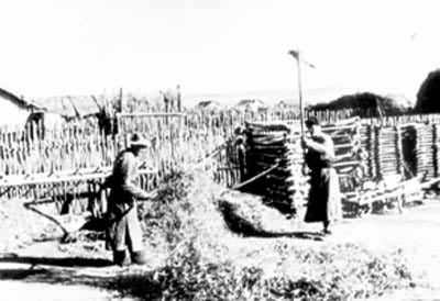 ���Ӷ���ũ�������ϴ�����