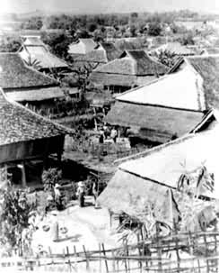 ��˫���ɵ��������կ