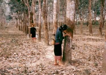 ���ϵ�����Ů��