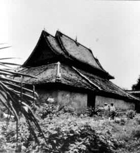 ��˫������������