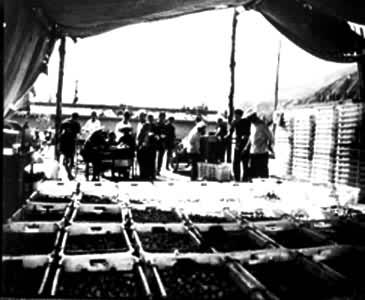 �������ˮ������