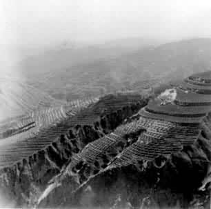 ������ũ������������