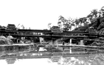 ����������İ˶��ţ������ţ�