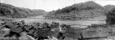 �����կ�����Ҷ���