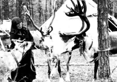 ���¿���������ѱ¹