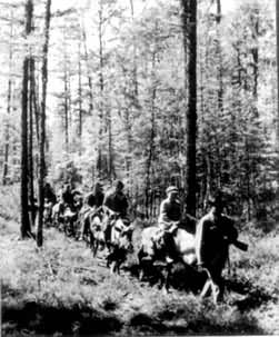 ���¿�������ѱ¹����ͨ����