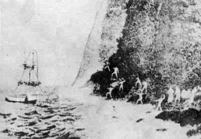 ̨���ɽ�����񿹻��۹������������