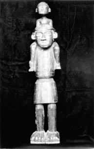 �����ɽ��ľ��