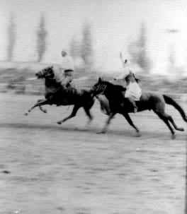 ������������ġ�����׷��