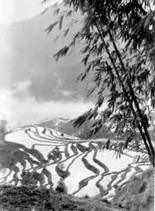 ������ũ������������