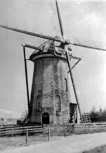 ���ϵĺ����糵