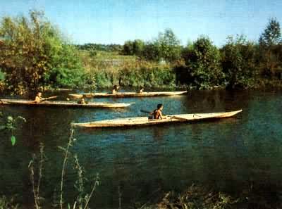 ���¿���Ⱥ�ڼ�ʻ�Լ���������Ƥ��