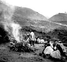 ����Ļ���