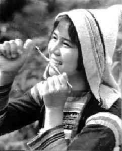 �����ٵĻ�ŵ�����