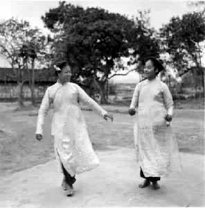 ����ɲ���