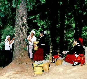 ��������Ů�����ɽ��