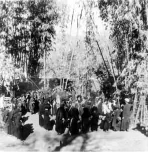 ������Ⱥ�ڰ���«����