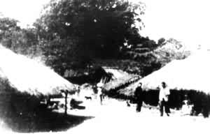 �㶫ʡ��ɳ�غ�ë�緬��婤��������װ����ķ����