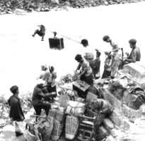 ����ŭ���ϵ�����