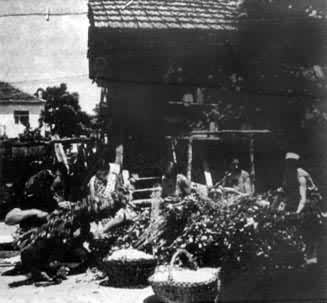 �����ũ��