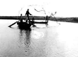 ���������ڲ���