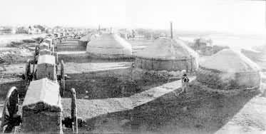 ���ɹ���������ľ�����ɹŰ������