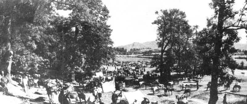 ����ʡ����������������μӡ����������ᡱ