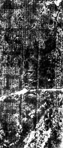 ����ʤ���̱�