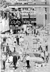 ˹�¸��Ħ������