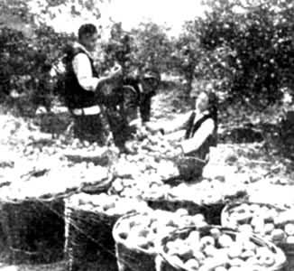 ˮ������