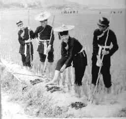 ������Ͷ����������