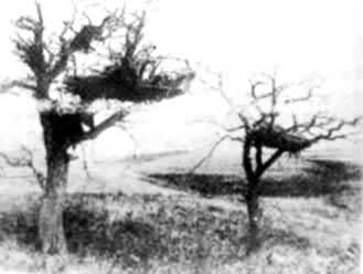 ���������ӡ�ڰ��˵�����