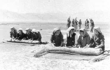 �������帾Ů����ձ