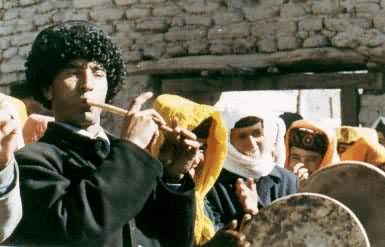 ���������ֶ�������ӥ��