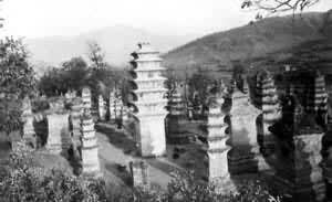 ����ʡ�Ƿ���������������ɮ������