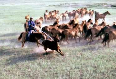 �ɹ�������������