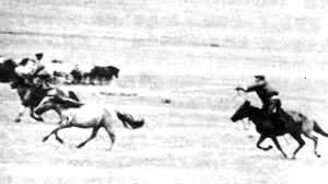 �ɹ�������������������