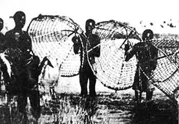 ͼ����������