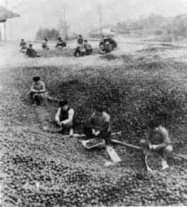 ����������չ���ص��ز�----��ͩ������֧Ԯ���ҽ���