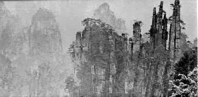 ����ʡ�������������������ݾ��ڵ��żҽ����ɭ�ֹ�԰